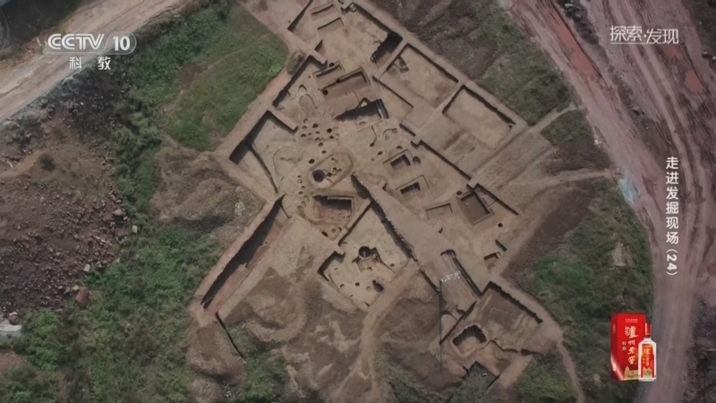 探索发现 《探索·发现》 20260424 走进发掘现场（24）