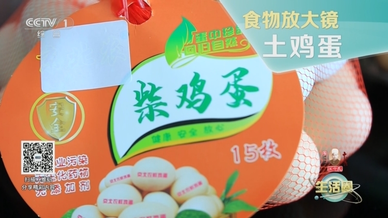 生活圈 《生活圈》 20240603