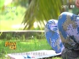 军事纪实 《军事纪实》 20161102 我为祖国守边卡⑨守岛官兵的西沙情缘
