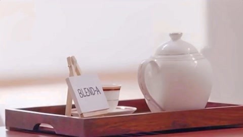 高臻臻的脑细胞 陪伴是一种特殊的添加剂