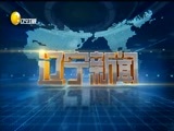 辽宁新闻 《辽宁新闻》 20170102