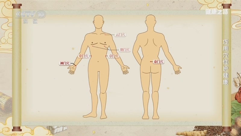 健康之路 《健康之路》 20260316 巧用穴位护健康