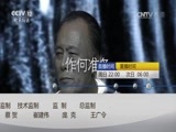 心理访谈 《心理访谈》 20160904 三胞胎寻母恩怨记