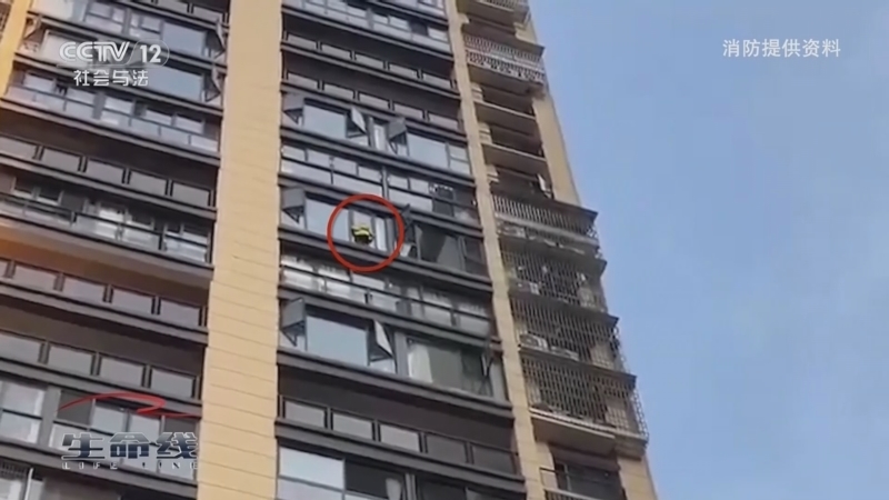 《生命线》 20260326