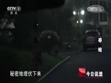 今日说法 《今日说法》 20150411 寻枪