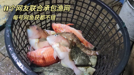 南澳岛赶海日记 由11个网友联合承包的渔网，每个网渔获都挺不错的，只赚不亏这样大家都高兴