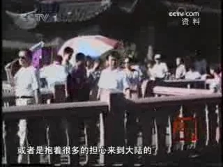 见证 手足情深 下