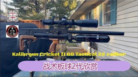 军事科技 KalibrGun科普回顾 ，国外PCP欣赏战术板球系列，多少男人的梦想
