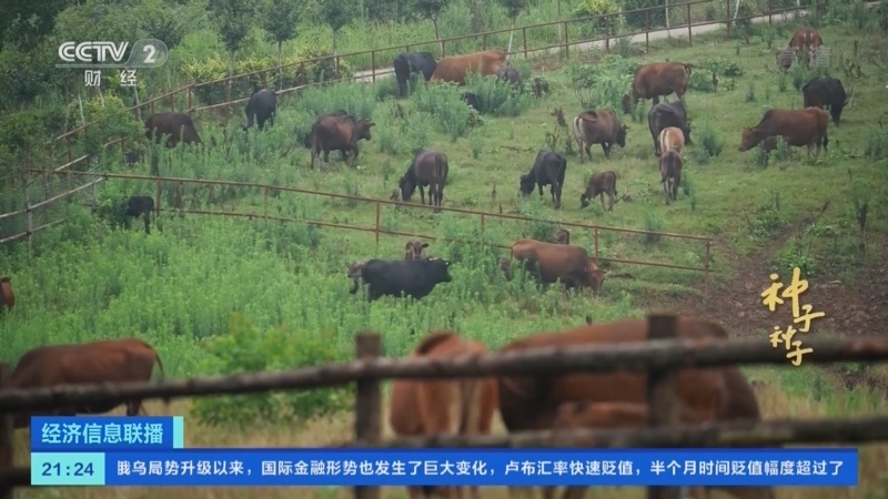 经济信息联播 《经济信息联播》 20220226