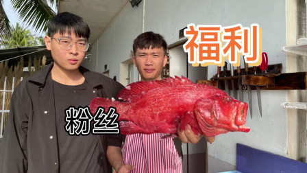 粉丝过来玩，阿镭拿出海南岛特有的鱼，做海鲜晚餐