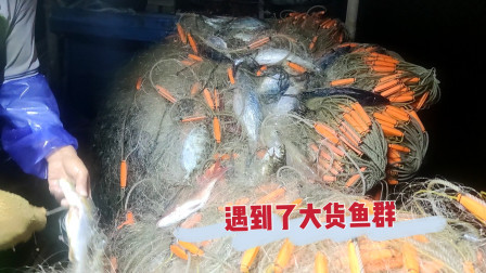 南澳岛赶海日记 在外海夜晚彪哥去收渔网，既然遇到大货鱼群，卖完后笑了出来