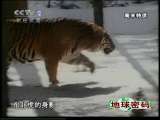 地球密码（周末精编节目） 周末精编节目 2010年 第212期 2010-08-28 1-2