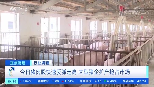 中国财经报道 《正点财经》 20191118 16:00