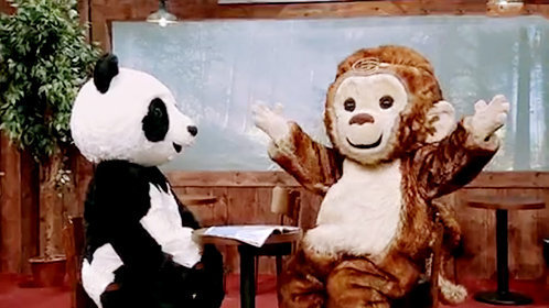 第16期：丛林公寓：大眼枭耍套路 猴嗨森连连叫苦