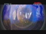 《寰宇万象》 20111023 大迁徙 角马群里的间谍 第二集 横渡