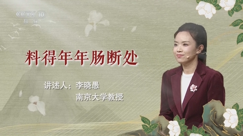 百家说故事 《百家说故事》 20260413