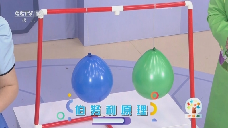 智慧树 《智慧树》 20250905