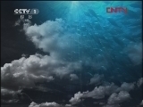 人与自然 《人与自然》 20120202 人物亲历——与狼为伴（上）