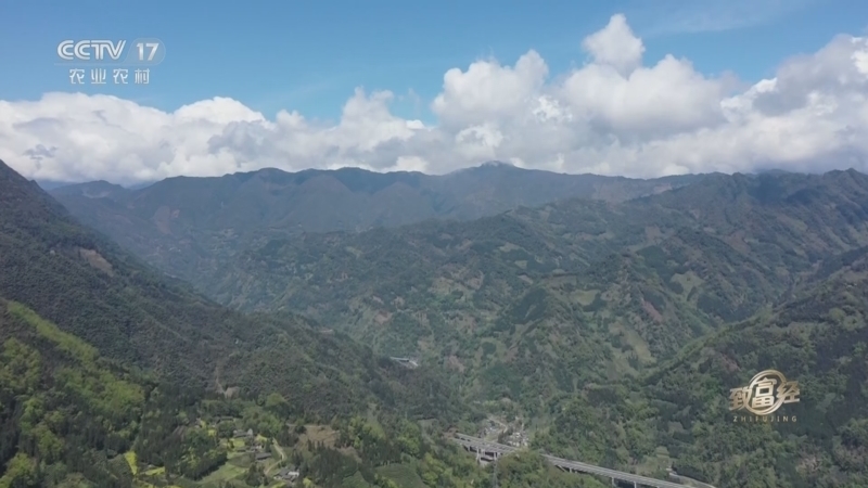 致富经 《致富经》 20230426 山林深处有大鱼