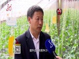 全省新闻联播 《全省新闻联播》 20170420