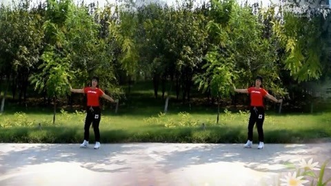 广场舞 广场舞《大笑江湖》