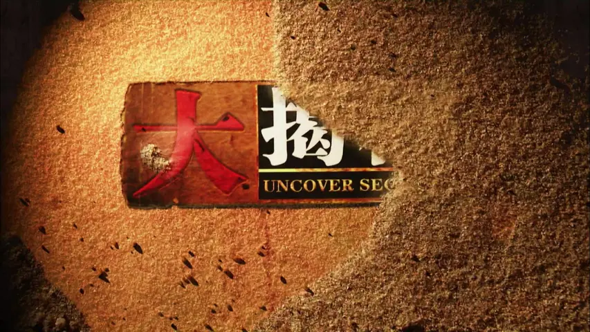 《王晓华说中统内幕》第2集