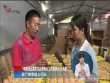 星期天报道 《星期天报道》 20170917
