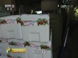 生财有道 《生财有道》 20161102 咱们家乡有特产（秋收系列）——走进沾化看冬枣