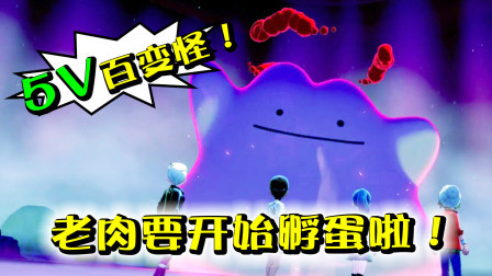 酷爱精灵宝可梦 第一季 一对四时百变怪会变成谁？5V到手我要开始孵蛋啦！