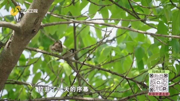 大医本草堂 用对良方 巧降三高