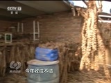 焦点访谈 《焦点访谈》 20170817 砥砺奋进的五年 阿拉善：神奇的背后
