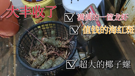 南澳岛赶海日记 彪哥捕鱼两天两夜总共卖了8630元，满满的龙虾