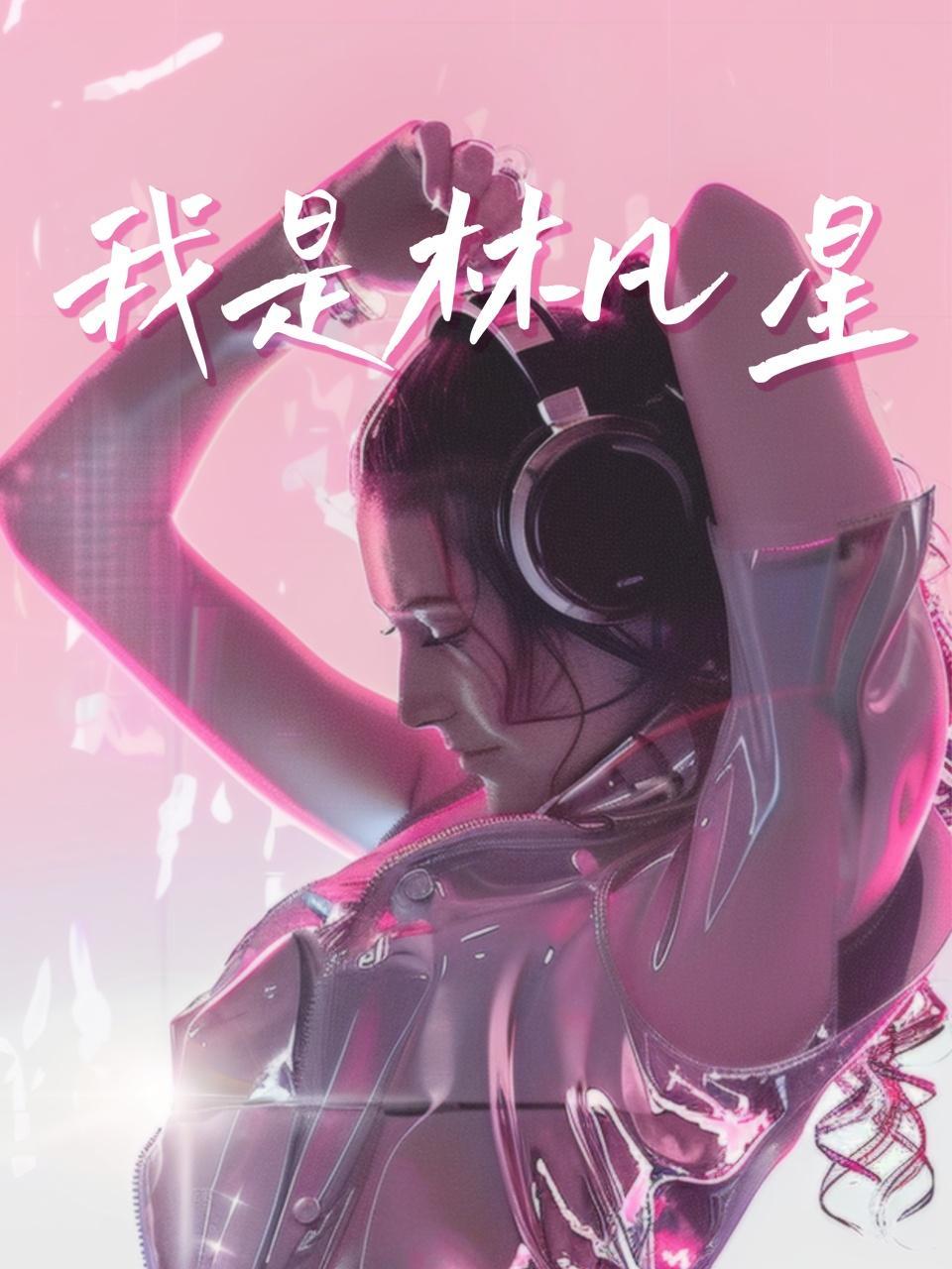 我是林凡星 海报