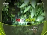 地理中国 《地理中国》 20160629 潮泉秘境（上）