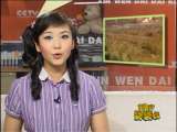 新闻袋袋裤 新闻袋袋裤 2010年 第146期