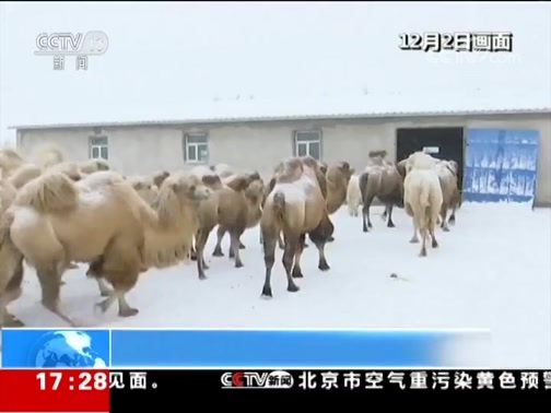 新闻直播间 《新闻直播间》 20181203 17:00