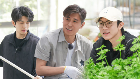 李乃文学赵一博夹子音撒娇 十个勤天收巨大水芹