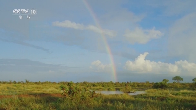 《自然传奇》 20260408 野性察沃