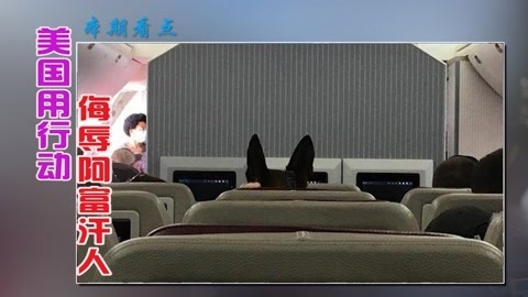 这就是给美国卖命的下场？宁愿让狗搭乘飞机，也不带翻译官撤离
