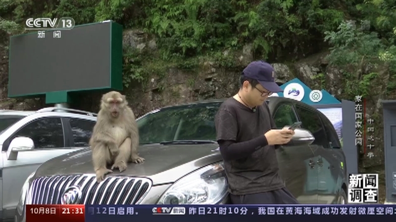 新闻调查 《新闻调查》 20221008 中国这十年 家在国家公园