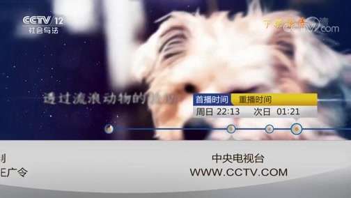 心理访谈 《心理访谈》 20190519 向阳而生 忘不了的痛（下）