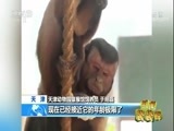新闻袋袋裤 《新闻袋袋裤》 20180327