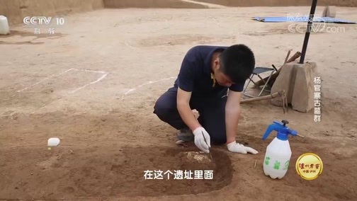 探索发现 《探索发现》 20181029 2018考古进行时 第三季 杨官寨古墓群