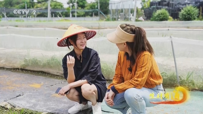 生财有道 《生财有道》 20260702 蛙声一响 黄金万两