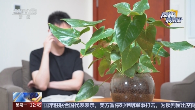 法治在线 《法治在线》 20260727