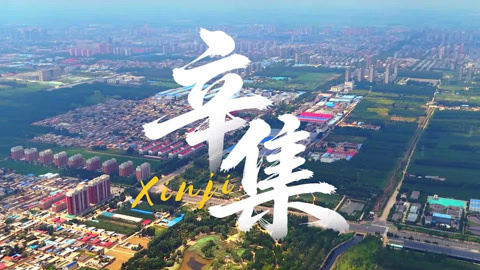 千年商脉在辛集 皮革誉满传天下