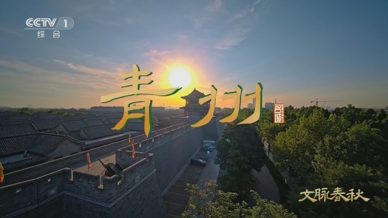 文脉春秋 《文脉春秋·历史文化名城篇》 第27集 山东·青州