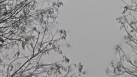 新视界 新视界20170207