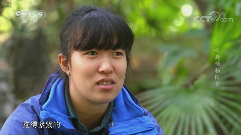 《奇趣动物园》 第三集 玩具总动员