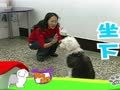狗狗日记 第112天 Alpha毕业考